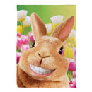 Cheesy Bunny Suede House Flag