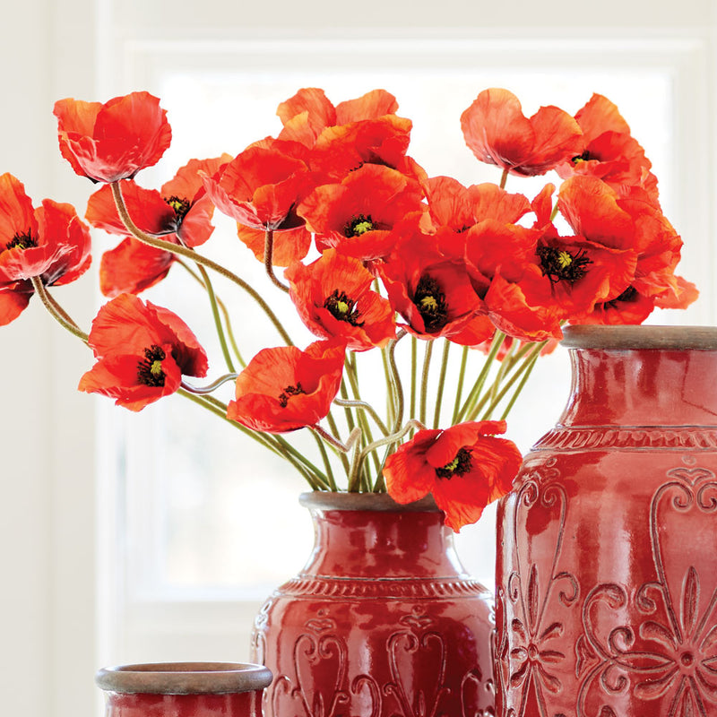 NAPA Home & Garden, POPPIES 27", BUNDLE OF 6,TP202OR