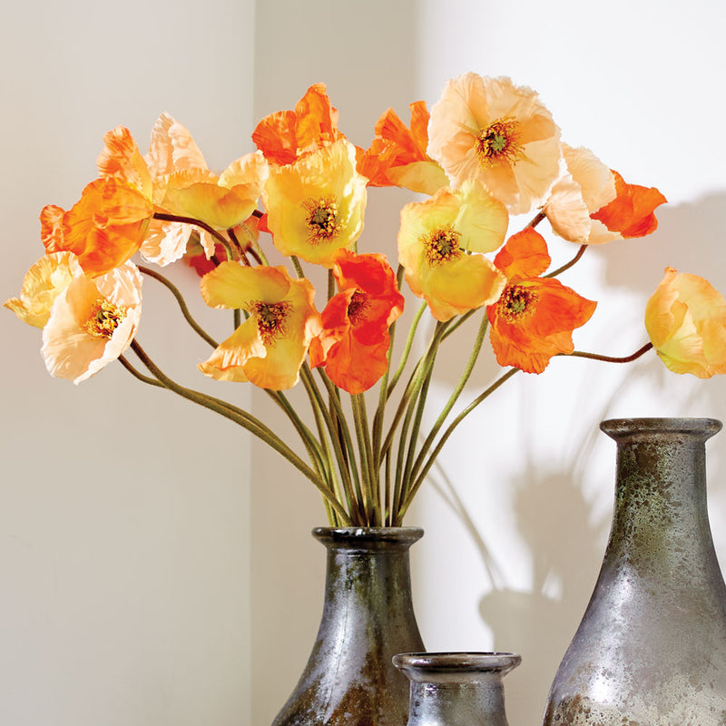 NAPA Home & Garden, POPPIES 27", BUNDLE OF 6,TP202OR