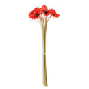 NAPA Home & Garden, POPPIES, BUNDLE OF 6