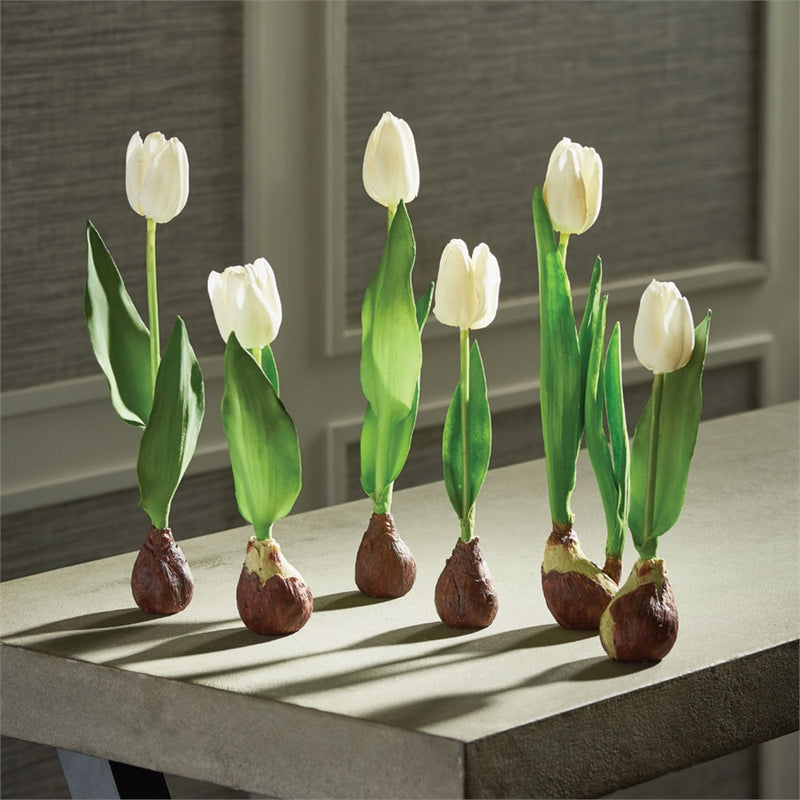Standing Tulips With Bulbs , Set of 6
