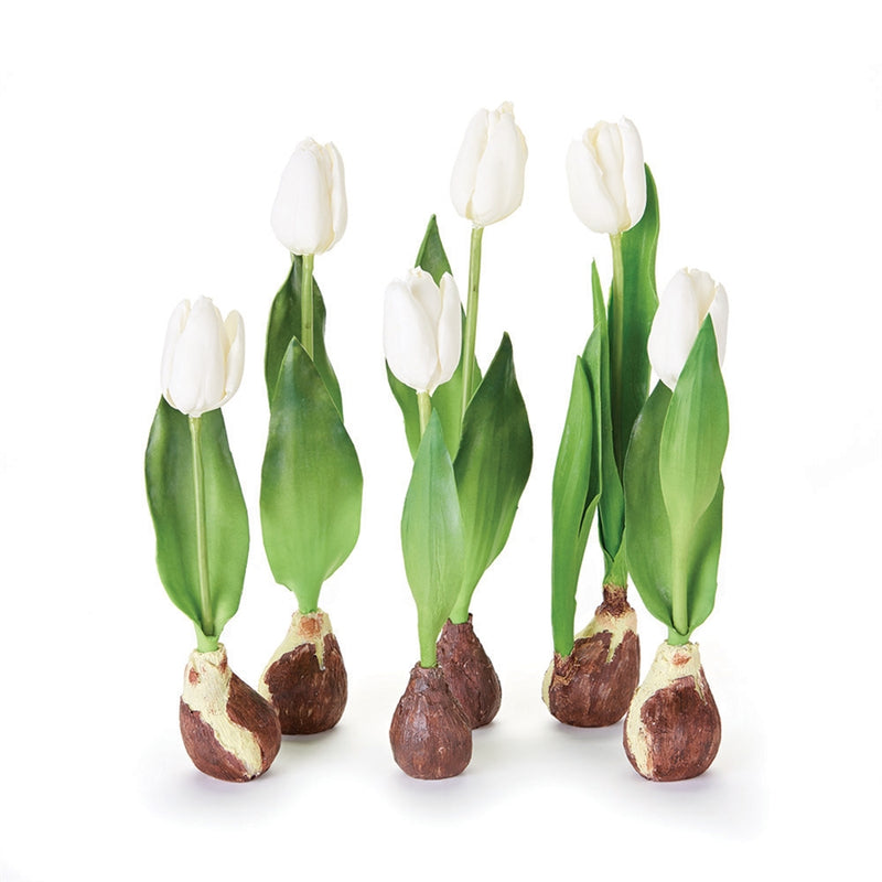 Standing Tulips With Bulbs , Set of 6