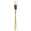 NAPA Home & Garden, CATTAILS 50", BUNDLE OF 5,TP212