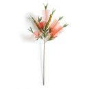 NAPA Home & Garden, BOTTLE BRUSH STEM 32",TP216