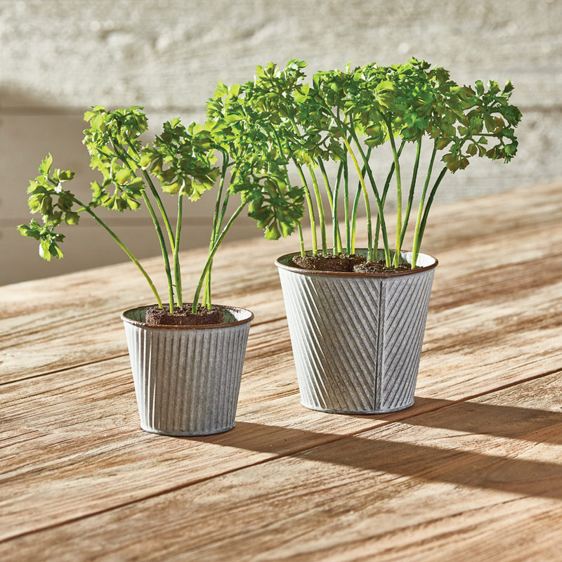 Napa Home & Garden Parsley 8" Drop-in