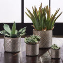 NAPA Home & Garden, GILDED ALICANTE POTS, SET OF 4,TS131