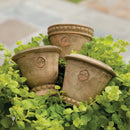 NAPA Home & Garden, WAKEFIELD HANDMADE MINI POTS, SET OF 6,WH111AT (Copy)