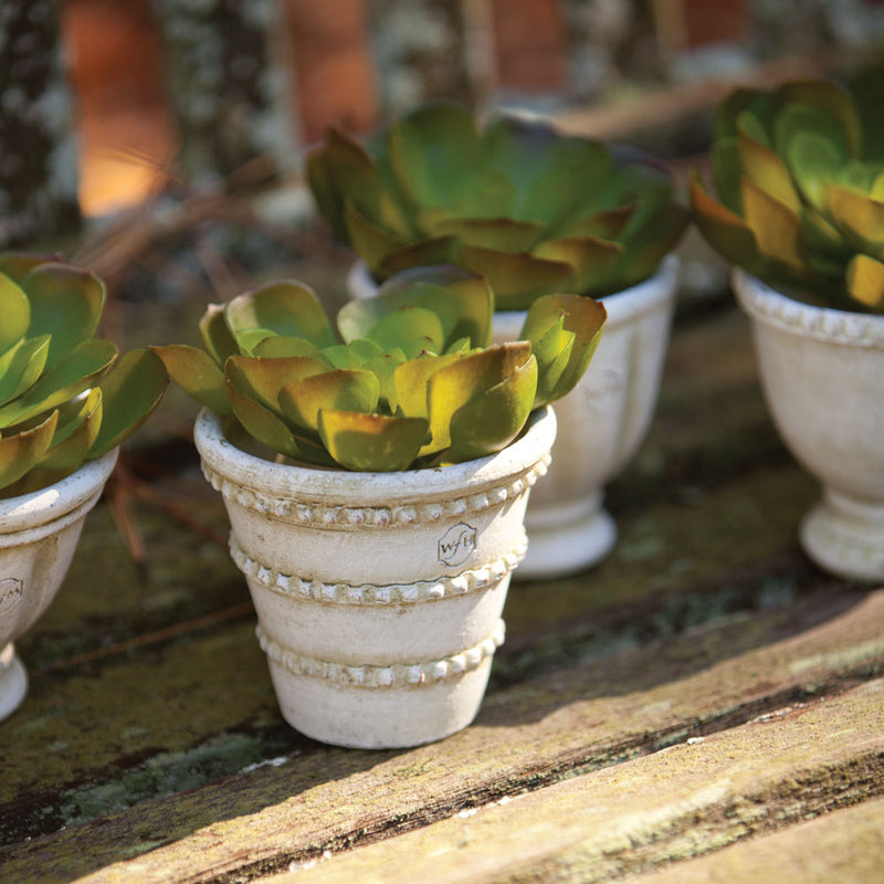 NAPA Home & Garden, WAKEFIELD HANDMADE MINI POTS, SET OF 6,WH133WW
