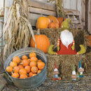 Blessed Gnome Figurine