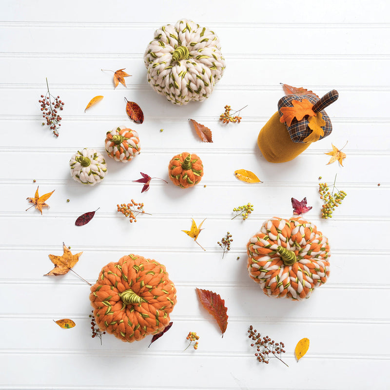 Med Wooly Pumpkins, A/3