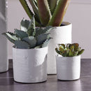 NAPA Home & Garden, STUDIO CACHEPOTS, SET OF 3,XN202
