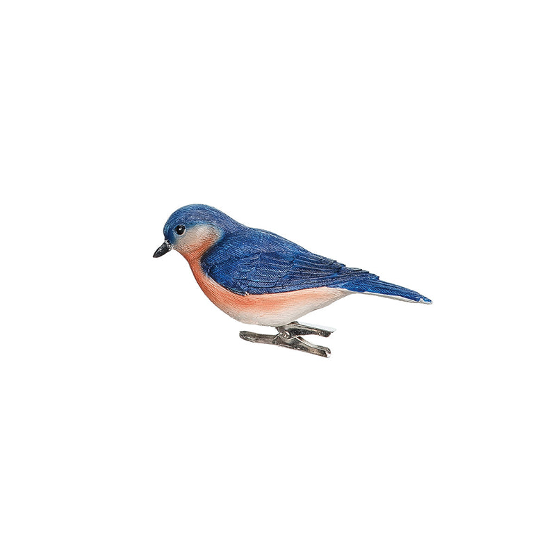 Bluebird on Clip Orn