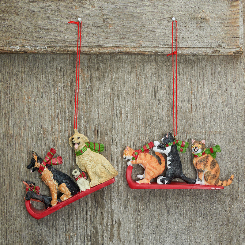 Cats & Dogs Sled Ornaments, A/2