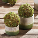 NAPA Home & Garden, ASHLAND CYLINDER POTS, SET OF 2,YG401