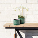 NAPA Home & Garden, SERGE POTS, SET OF 2