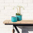 NAPA Home & Garden, SERGE POTS, SET OF 2