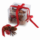 Napa Home Garden, PINE CONE & BERRY FILL IN BOX,z4376nrd