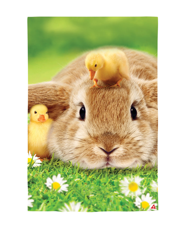 Evergreen Flag,Bunny and Duckling Lustre Garden Flag,12.5x0.05x18 Inches