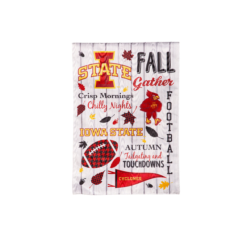 Iowa State University, Moire Flag, GDN, Fall Seasonal,14m962