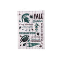 Michigan State University, Moire Flag, GDN, Fall Seasonal,14m971