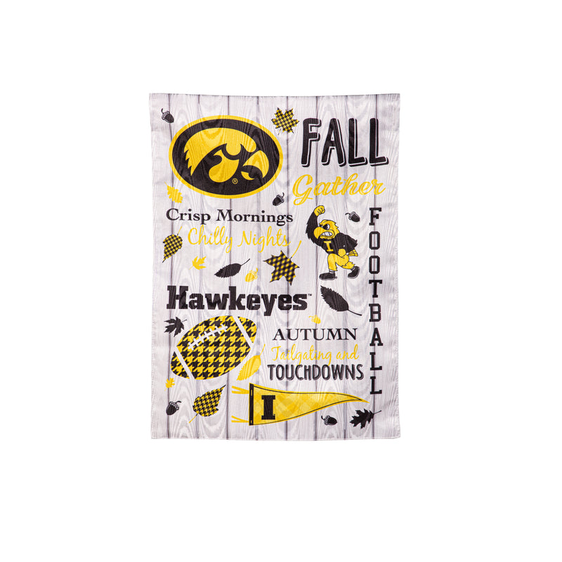 University of Iowa, Moire Flag, GDN, Fall Seasonal,14m980