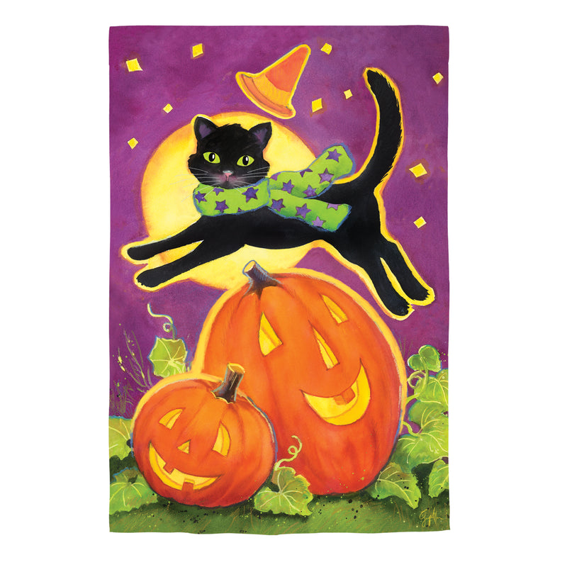 Evergreen Flag,Over the Moon Cat Suede Garden Flag,12.5x0.02x18 Inches