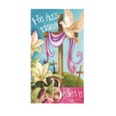 Garden Sub Suede Believe Flag,14s3272