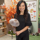 Metal Mushroom Bird Feeder,2bf7314