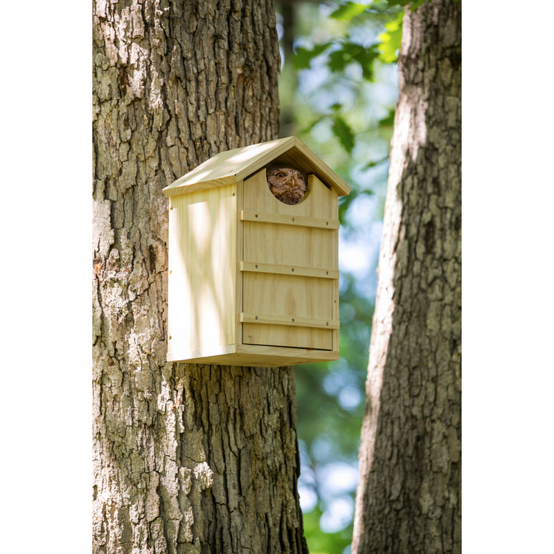 Evergreen Screech Owl House Nesting Box, 10.4'' x 9.8'' x 15''