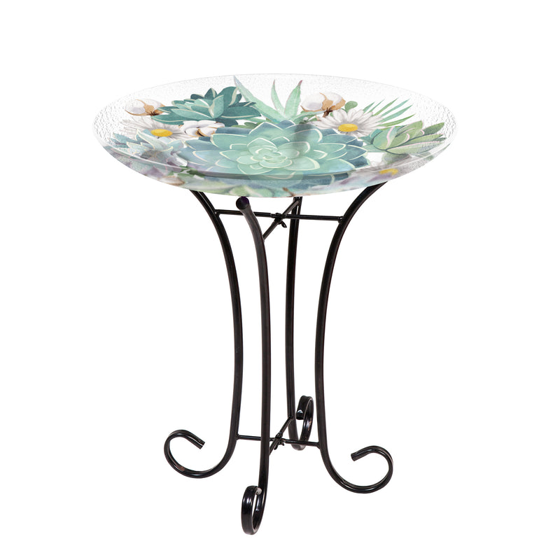 16" Glass Bird Bath w/Stand, Harvest Succulents,2gb1210