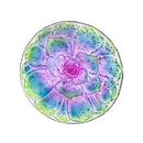 18" Hand Painted and Embossed Pebble Glass Bird Bath, Conchita Succulent,2gb7004