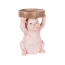 Pig Resin Birdbath,2gb7023