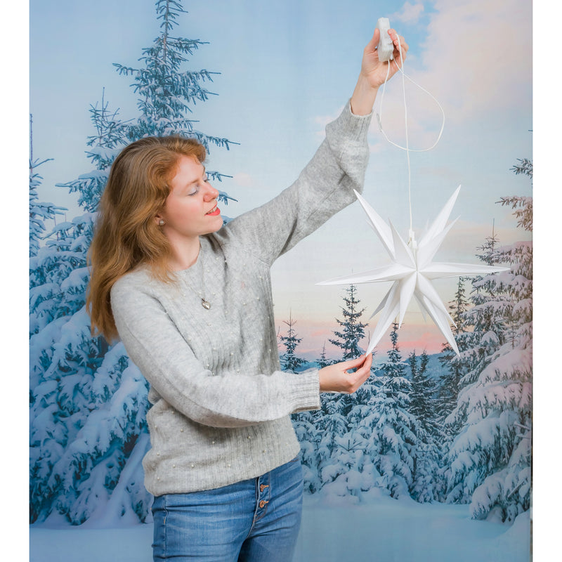 13.75"D LED Collapsible Hanging Star Outdoor Lantern,2la1807