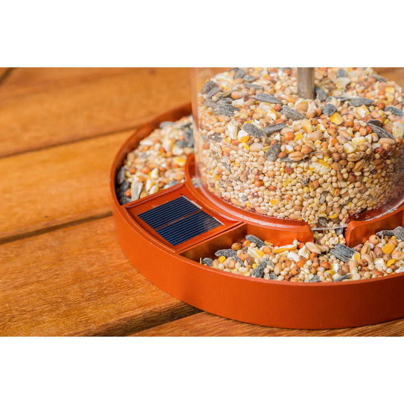 Solar Bird Feeder with Handpainted Embossed Glass, Butterflies,2sp6617