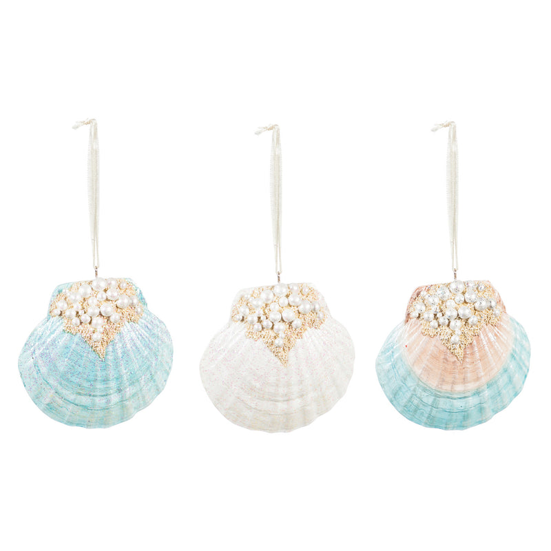 Seashell Ornament, 3 Assorted,3ot1189