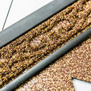 Brown Scroll Sassafras Mat Tray