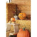 Spooky Spider Pumpkin Holders, set of 2, 11"x10"x8.25"inches