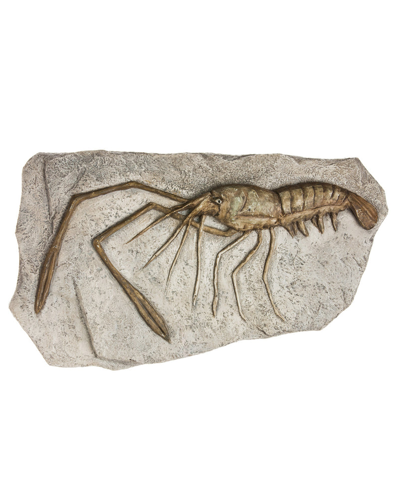 Garden Stone, Crawling Lobster,84g243