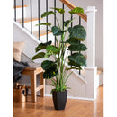 Ivy Arum Artificial with Plastic Pot,84g3600