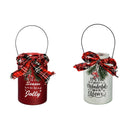 LED Jar with Plaid Ribbon, Pine, and Berries, 2 Assorted: Red/White,8led497