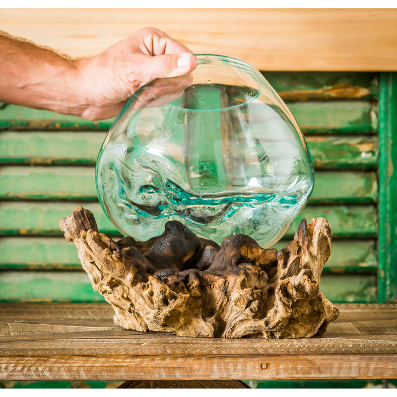 Glass Planter on Driftwood,8prm002