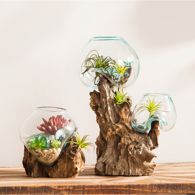 Medium Double Glass Bowl,8prm021