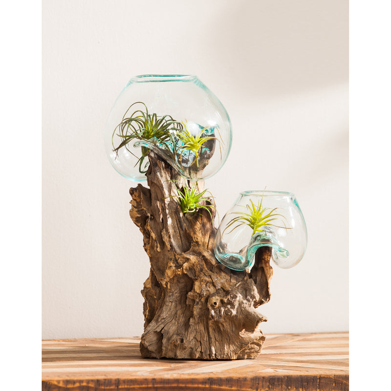 Medium Double Glass Bowl,8prm021