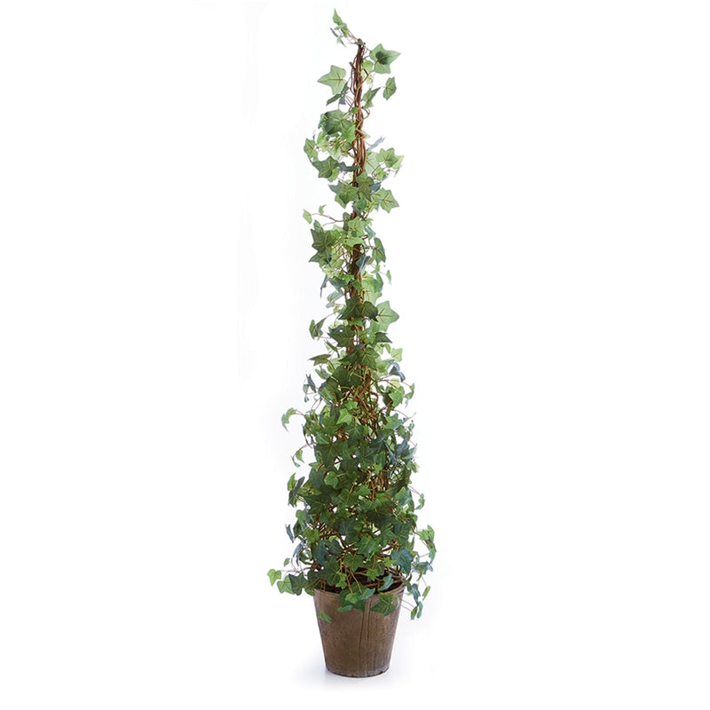 IVY 62" CONE TOPIARY POTTED