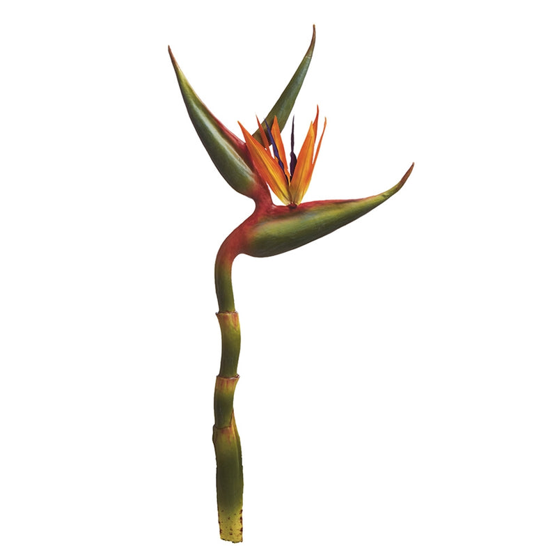 Napa Home Garden, GIANT BIRD OF PARADISE 33" STEM,cc235