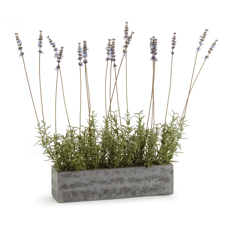 FRENCH LAVENDER IN TROUGH 19"