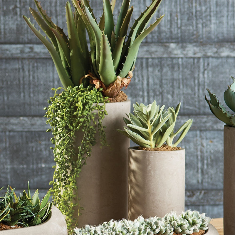 Napa Home Garden, CONCRETE PIPE 8"H PLANTER,cd241