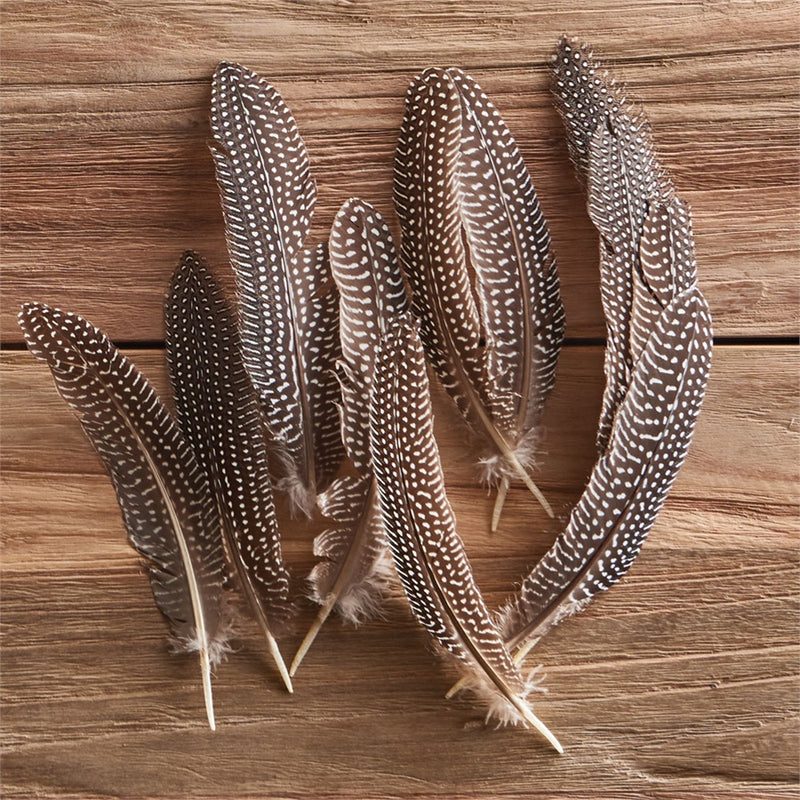 Feather Quills In Bag