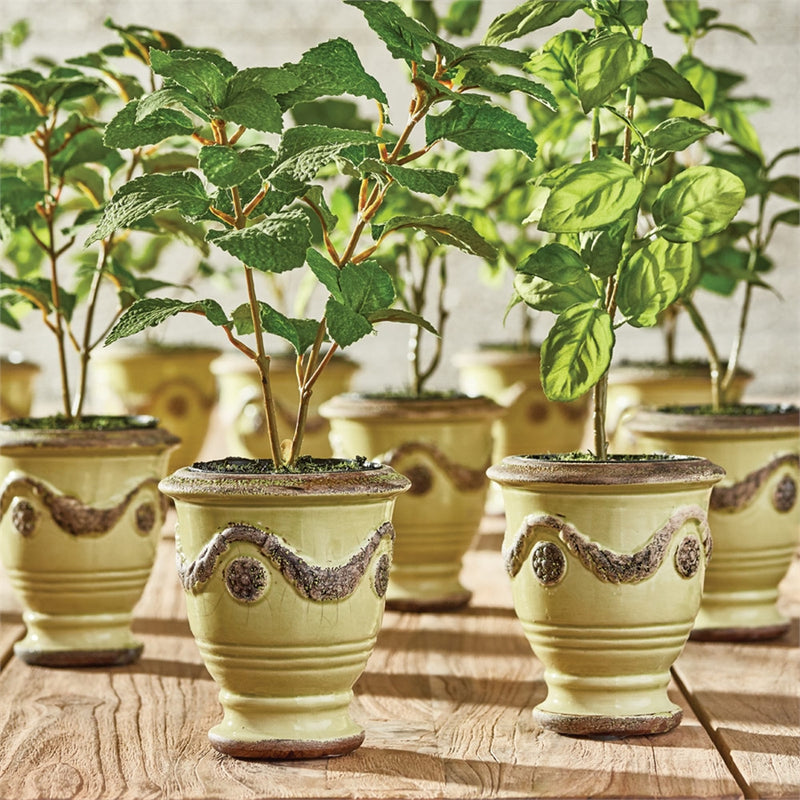 Napa Home Garden, MINT 9.5" DROP-IN S/6,gp204