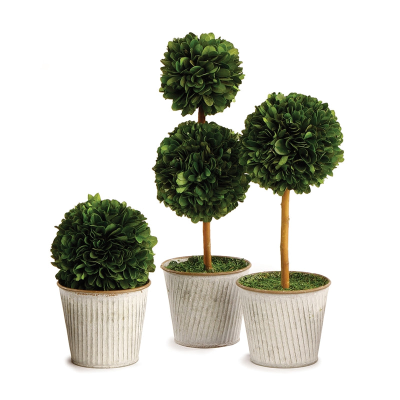 Napa Home Garden, PG TOPIARIES IN GALV POTS ,SET OF 3,pg201